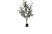 Coco Maison Eucalyptus Tree kunstplant H140cm 